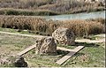Ruins of Arjan Briges on Marun River in Northern Behbahan