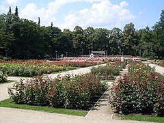 Różanka Rose Garden in Szczecin, Poland