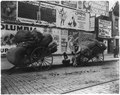 Street types of New York City-2 rag carts