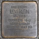 Levi Klein