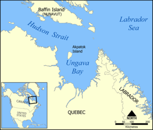 Karte der Ungava Bay
