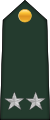Général de brigade (Central African Ground Forces)