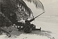 Image 2940mm antiaircraft gun from the United States Marine Corps' 2d Airdrome Battalion defending the LST offload at Nukufetau on August 28, 1943. (from History of Tuvalu)