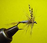 The Adams – A typical dry fly