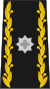 Brigade General