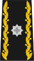 Brigadier (Swiss Army)[8]