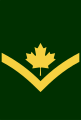 Early post unification Private (qualification level 4a) insignia with maple leaf.