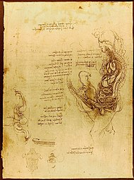 Anatomische Koitusdarstellung, einem hippokratischen Text zur Zeugung folgend, Quaderni III, Blatt 3v, um 1493[52]