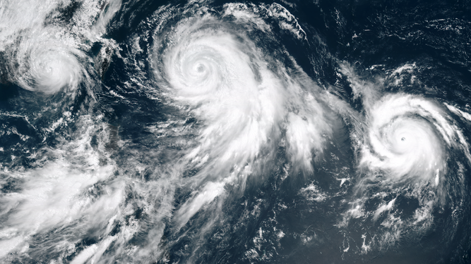 Two of the three cyclones in this image (Typhoons Chan-hom and Nangka) were raised to good article status by ninth-place Hurricanehink (submissions). The smallest, Tropical Storm Linfa, is up for good article status right now.