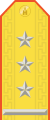 Parade uniform shoulder board (Colonel)