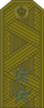 Felddienstanzug, Russische Streitkräfte 1994–2010.