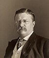 Theodore Roosevelt, 26th President of the United States