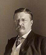 Theodore Roosevelt – Führender Politiker der Partei