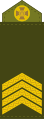 Старший сержант (Senior Sergeant)