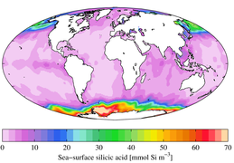 Annual mean sea surface silicic acid (WOA 2009)