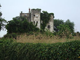 The ruins of the chateau
