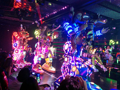 Show at the Robot Restaurant
