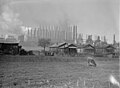 Image 48Blast furnaces such as the Tennessee Coal, Iron and Railroad Company's Ensley Works made Birmingham an important center for iron production in the early 20th century. (from History of Alabama)
