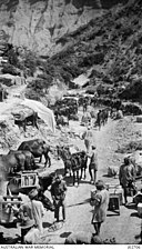 Indian Mule Corps at Mule Gully