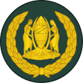 Warrant officer class 2 (Swahili: Afisa Mteule Daraja la Pili) (Tanzanian Army)