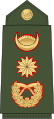 Lieutenant general रथी[37] (Nepali Army)