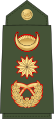 Lieutenant general रथी[37] (Nepali Army)