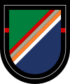 USASOC, 75th Ranger Regiment, 1st Battalion