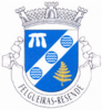 Coat of arms of Felgueiras