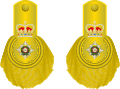 1810 to 1855 colonel's shoulder rank insignia