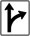 R3-6 (D) Optional movement lane control, straight through and right turn