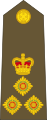 Brigadier (New Zealand Army)[21]