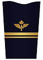 Mess jacket sleeve insignia for a lieutenant (2003–present)