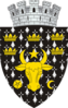 Coat of arms of Rădăuți