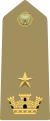 Maggiore (Italian Army)[42]