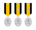 The Boy Scout Citation Medals