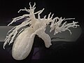 3D-printed biliary system
