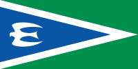 Civil Will Green Party flag