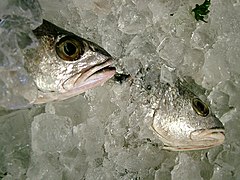 Fish packed in ice