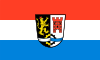 Flag of Schwandorf