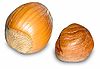 Two round nuts, one with its shell and one without, yellow to light brown in color.