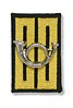 Insignia of the Rifle Guard regiment
