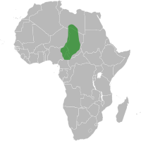 The farthest extent of the medieval Kanem-Bornu state.