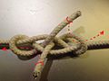 From double harness bend with parallel ends ABOK #1421 to Reever bend: ends through opposite half hitch