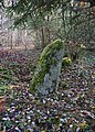 „Der Stein“ – Menhir im Wald von Dossenbach
