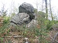Eine weitere (auf dem Gebirgskamm zwischen Salzlackenbuckel und Wagenberg) der vielen Felsengruppen der Tromm fällt durch erodierte Spaltenfüllungen auf.
