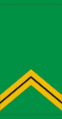 Sergent (Malian Army)[63]