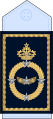 Général d'armée aerienne (Royal Moroccan Air Force)