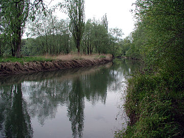 The Alter Rhein near Höchst