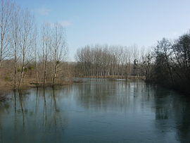 The river Aube