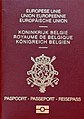 Biometric passport (2004 version)